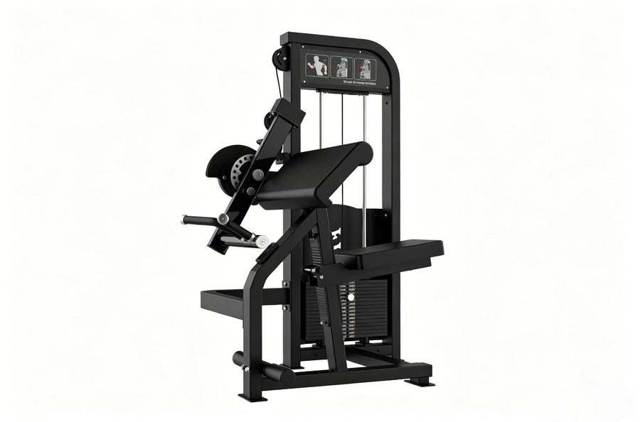 Máquina de biceps y triceps